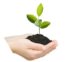 Sistemas ecologicos